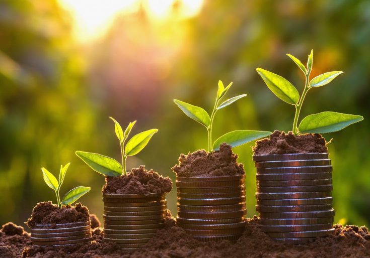 A stack of coins with a plant growing out of them.